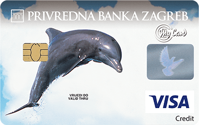 Visa Classic charge kartica