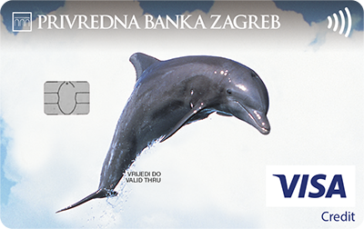 Visa Classic charge kartica